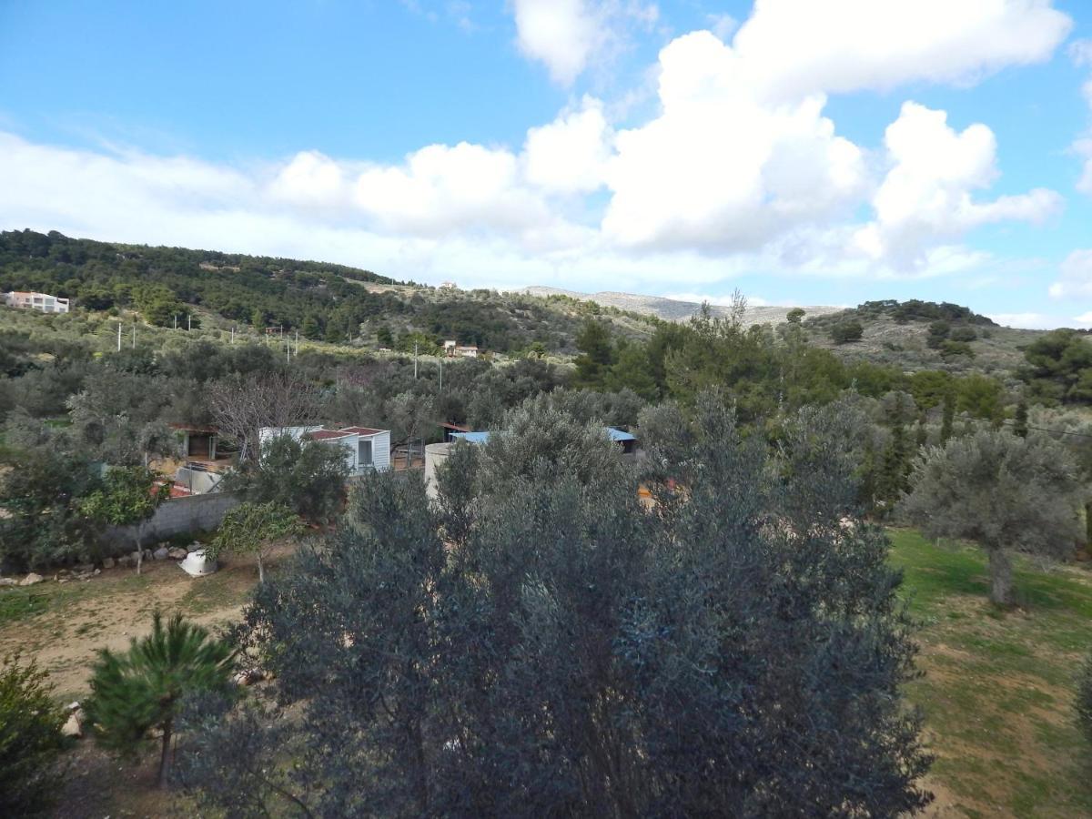 Οδυσσεια, Κοντά Σε Αεροδρόμιο, Λιμάνια Και Θάλασσες Lejlighed Keratea Eksteriør billede