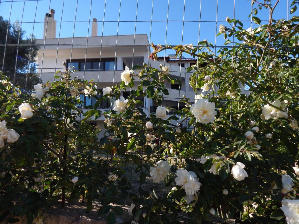 Οδυσσεια, Κοντά Σε Αεροδρόμιο, Λιμάνια Και Θάλασσες Lejlighed Keratea Eksteriør billede