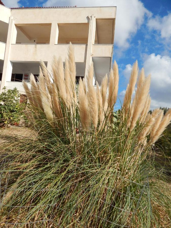 Οδυσσεια, Κοντά Σε Αεροδρόμιο, Λιμάνια Και Θάλασσες Lejlighed Keratea Eksteriør billede