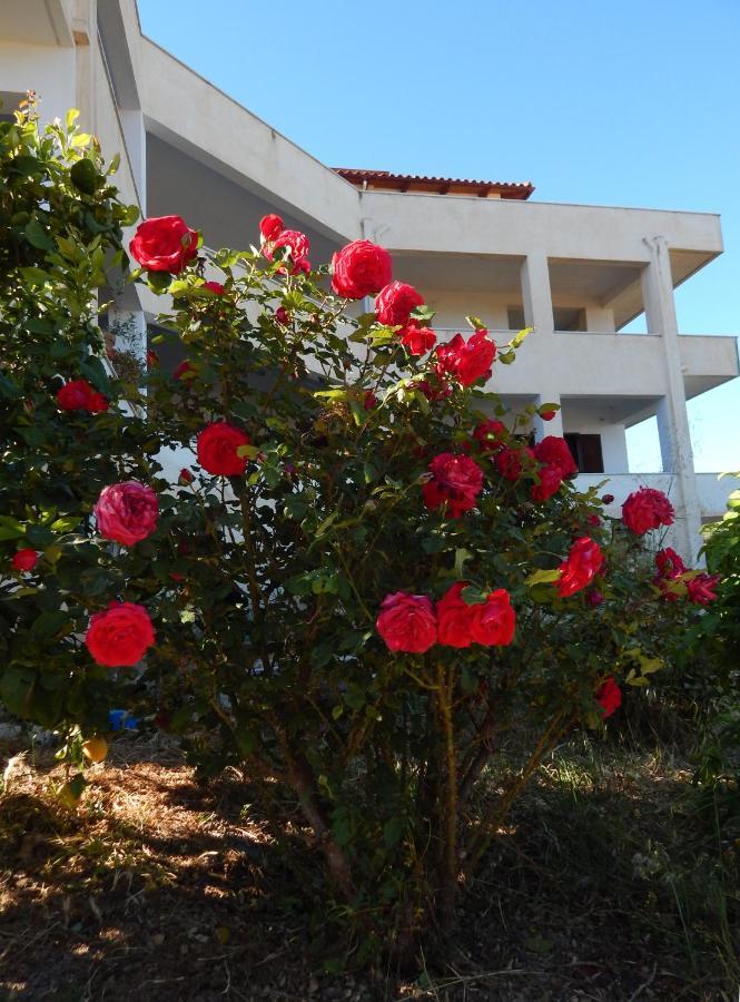 Οδυσσεια, Κοντά Σε Αεροδρόμιο, Λιμάνια Και Θάλασσες Lejlighed Keratea Eksteriør billede