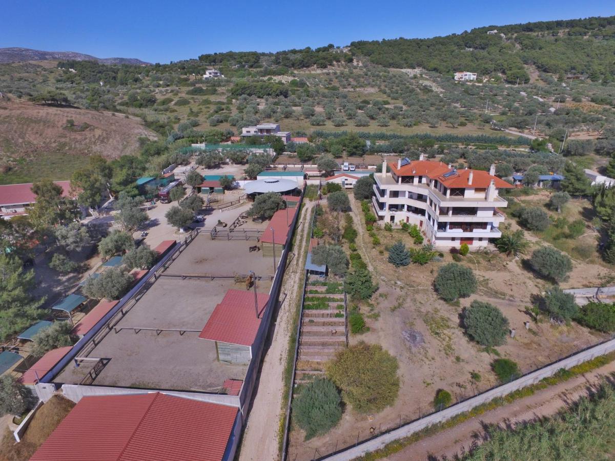Οδυσσεια, Κοντά Σε Αεροδρόμιο, Λιμάνια Και Θάλασσες Lejlighed Keratea Eksteriør billede