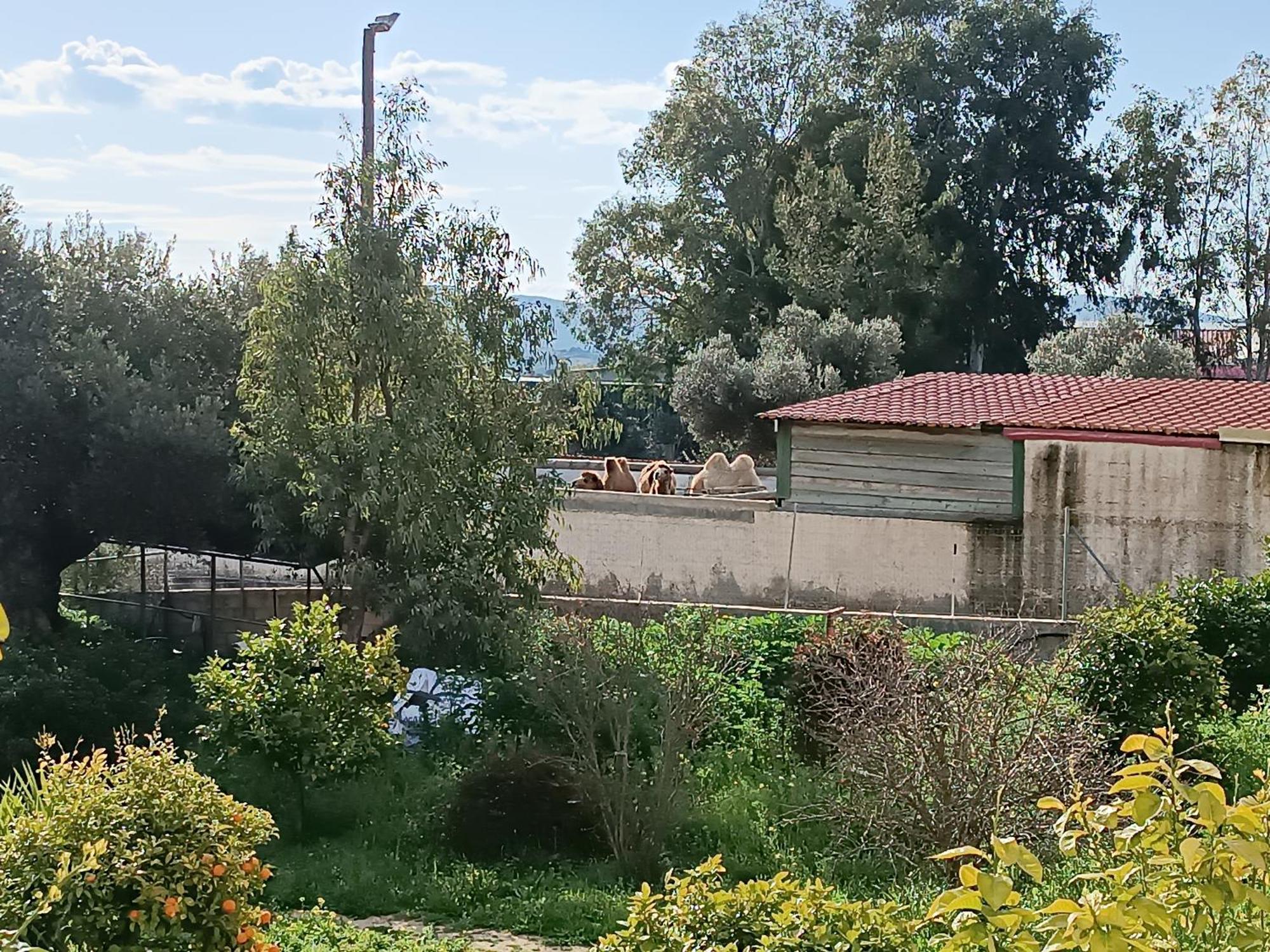 Οδυσσεια, Κοντά Σε Αεροδρόμιο, Λιμάνια Και Θάλασσες Lejlighed Keratea Eksteriør billede